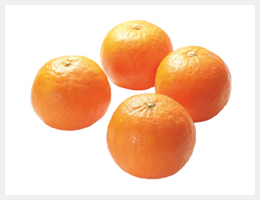 セミノール(柑橘）