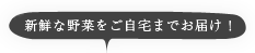 新鮮な野菜をご自宅までお届け！
