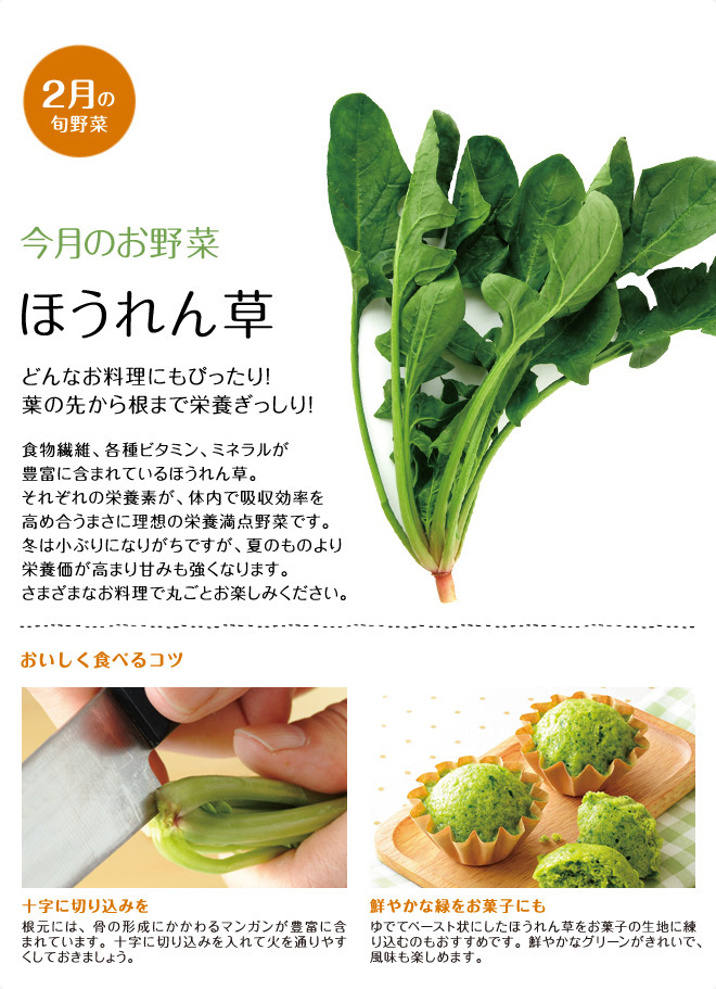 今月のお野菜(2012年05月)