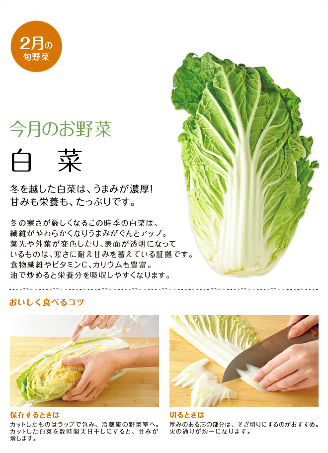 今月のお野菜(2013年02月)