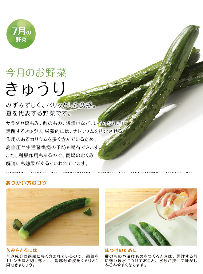 今月のお野菜(2014年05月)