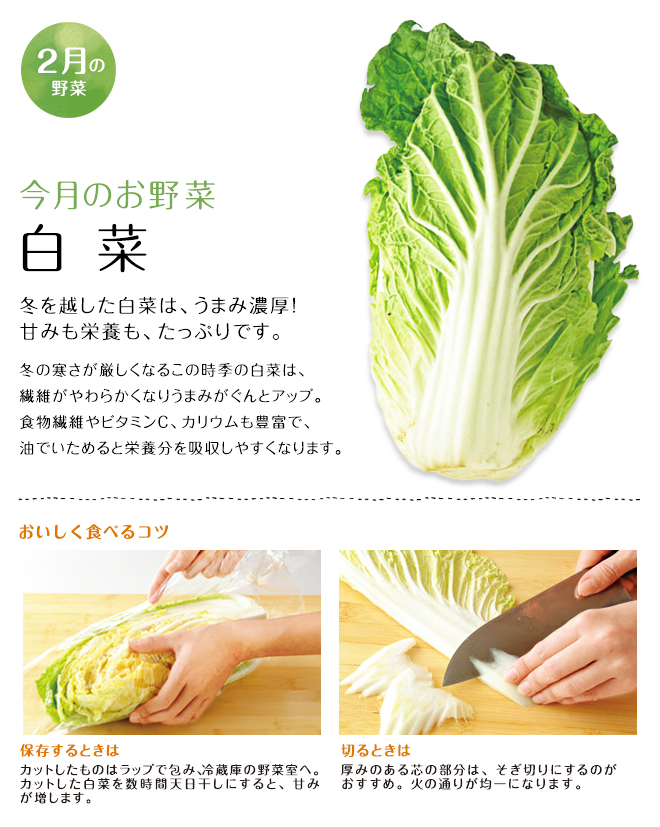 今月のお野菜(2013年05月)
