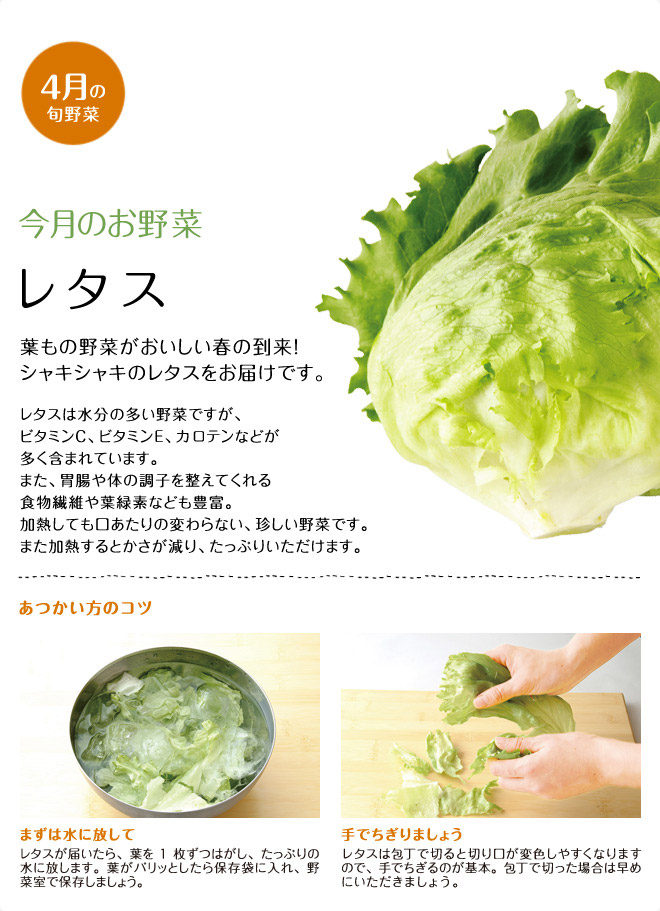 今月のお野菜(2013年04月)