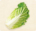 今月のお野菜