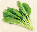 今月のお野菜