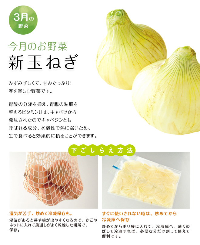 今月のお野菜(2026年03月)