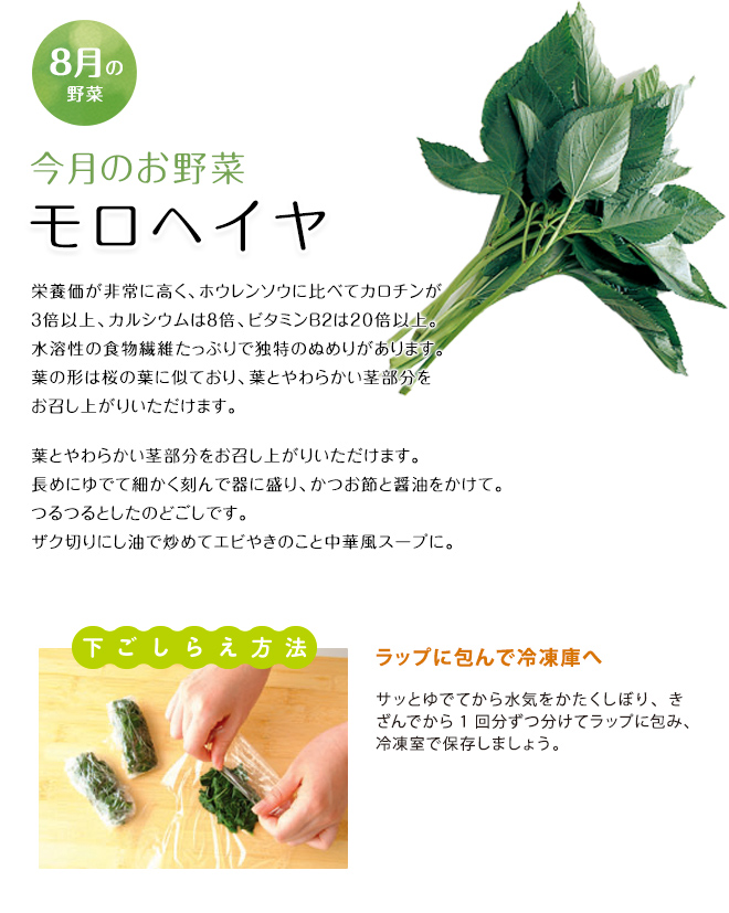 今月のお野菜(2026年08月)