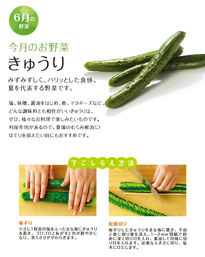 今月のお野菜(2025年06月)
