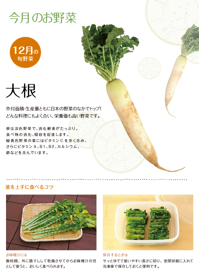 今月のお野菜(2011年12月)