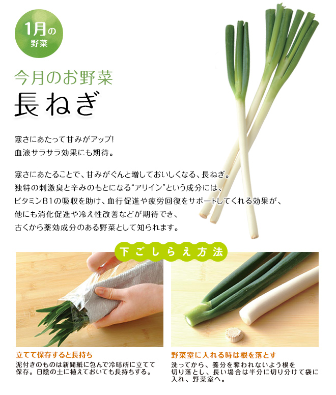 今月のお野菜(2026年01月)