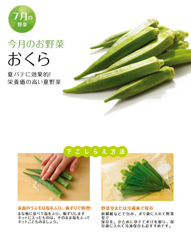 今月のお野菜(2024年07月)