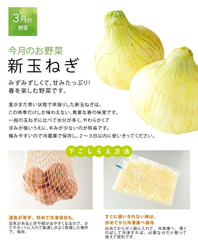 今月のお野菜(2025年03月)
