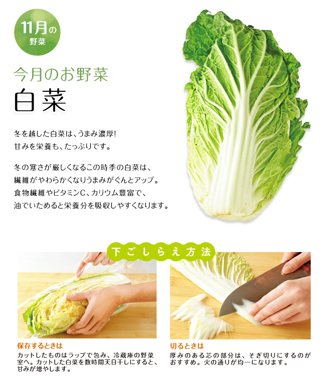 今月のお野菜(2025年11月)