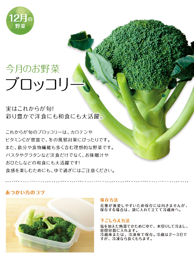 今月のお野菜(2015年12月)