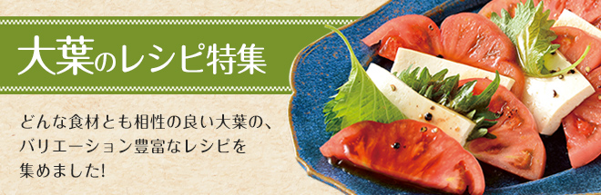 大葉のレシピ特集