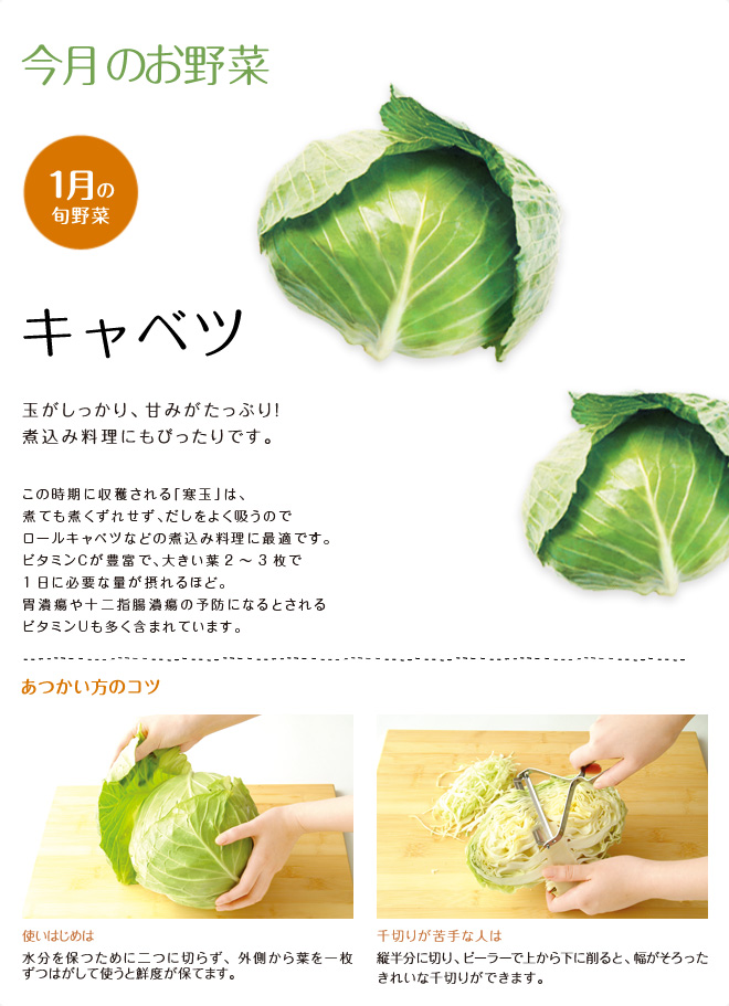 今月のお野菜(2012年01月)