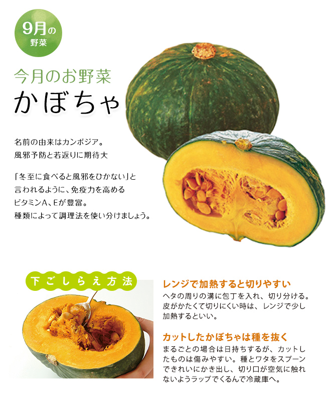 今月のお野菜(2026年09月)