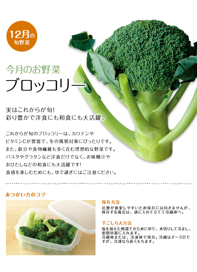 今月のお野菜(2013年12月)