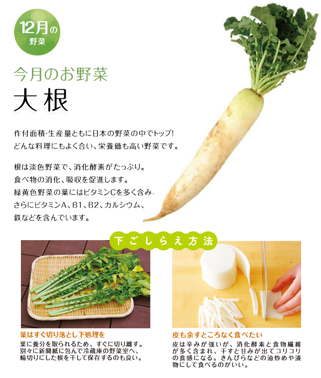 今月のお野菜(2025年12月)