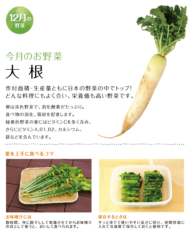今月のお野菜(2014年12月)