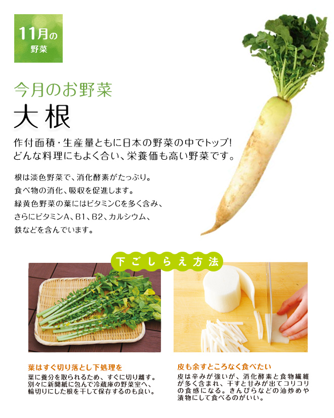 今月のお野菜(2024年11月)