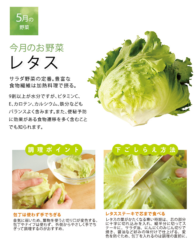 今月のお野菜(2025年05月)
