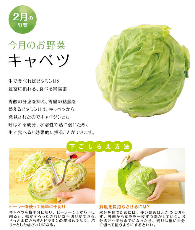 今月のお野菜(2026年02月)