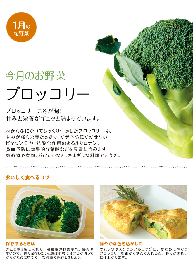 今月のお野菜(2013年01月)