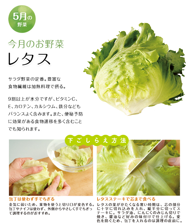 今月のお野菜(2026年05月)