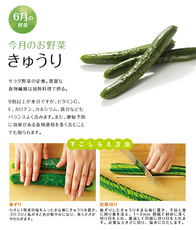 今月のお野菜(2026年06月)
