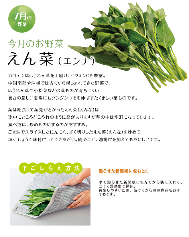 今月のお野菜(2026年07月)