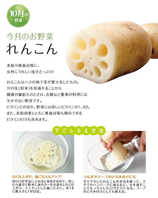 今月のお野菜(2026年10月)