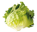 今月のお野菜