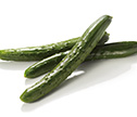 今月のお野菜